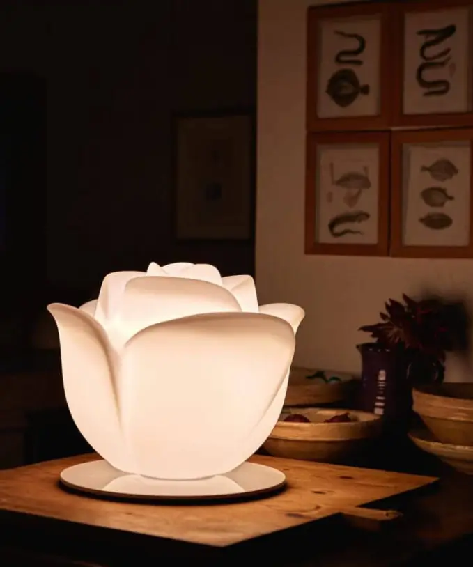 lampada a forma di rosa bianca illuminata da esterni